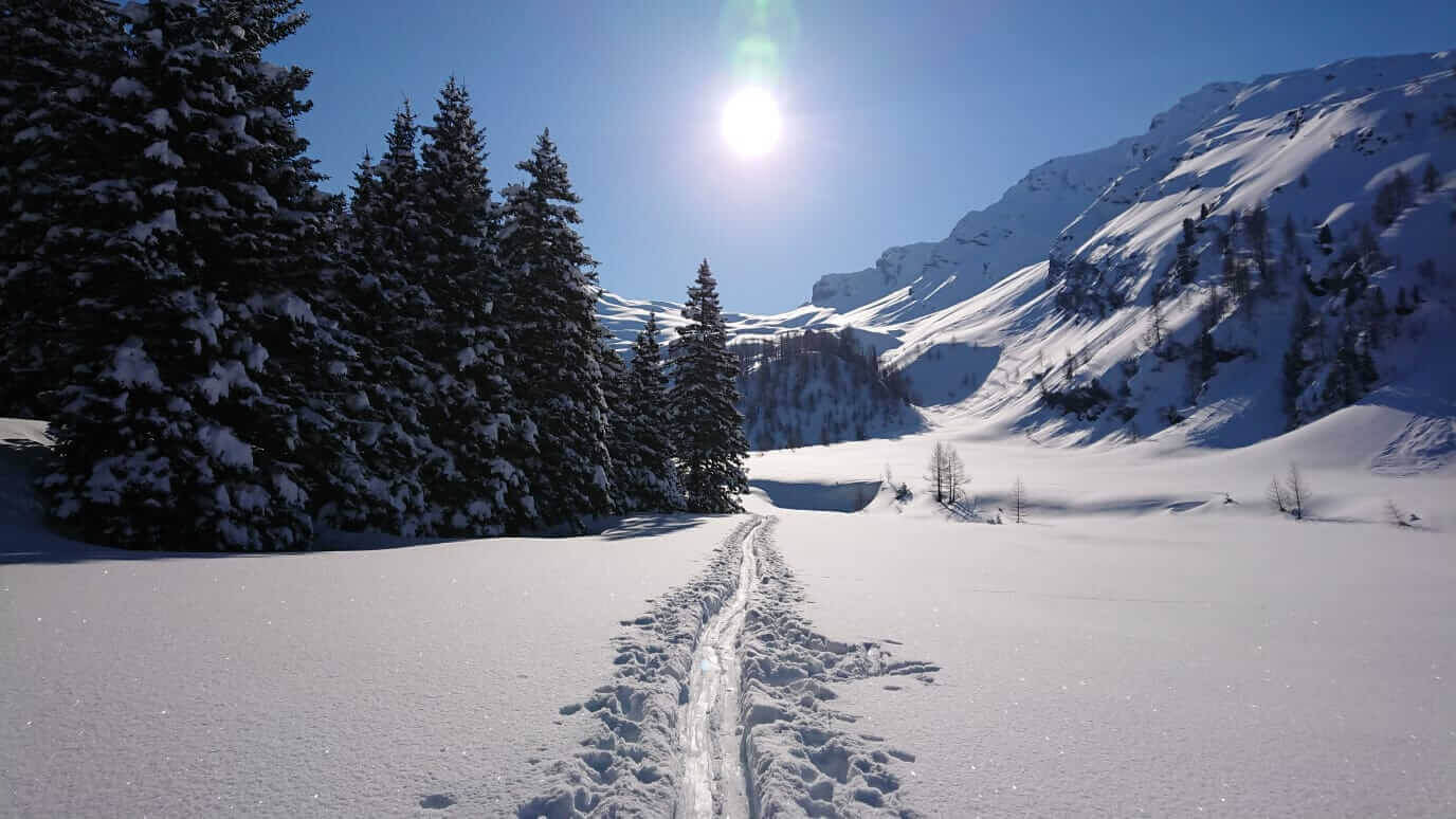 The Snowsports Company Kaprun - Private Ski & Snowboard